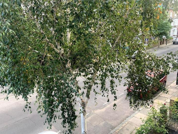 Lovely Spacious 1-Bedroom Flat In Tufnell Park Close To Central Лондон Екстер'єр фото